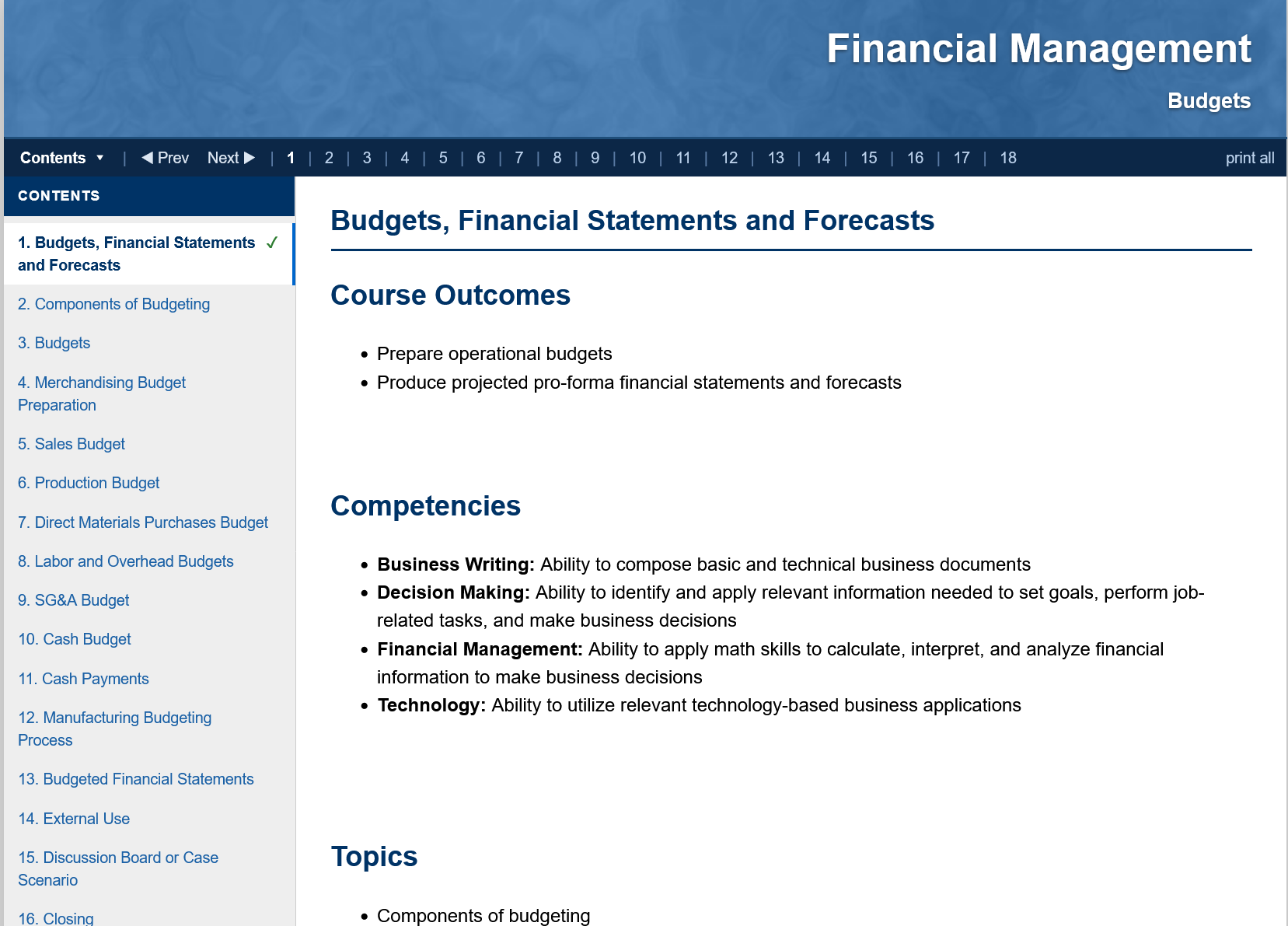 Storyline Slideplayer preview